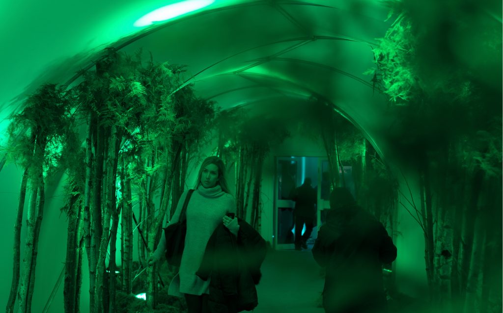 entrance tunnel with plants and green lights