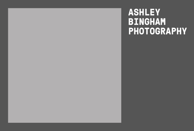 brand identity for ‘ASHLEY BINGHAM PHOTOGRAPHY’ in light and dark grey